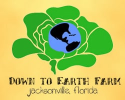 Down To Earth Farm Jacksonville Farm