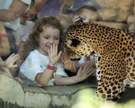 Jacksonville Zoo and Gardens
