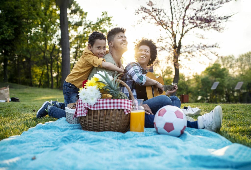 Family picnic Quarantine Coronavirus activities