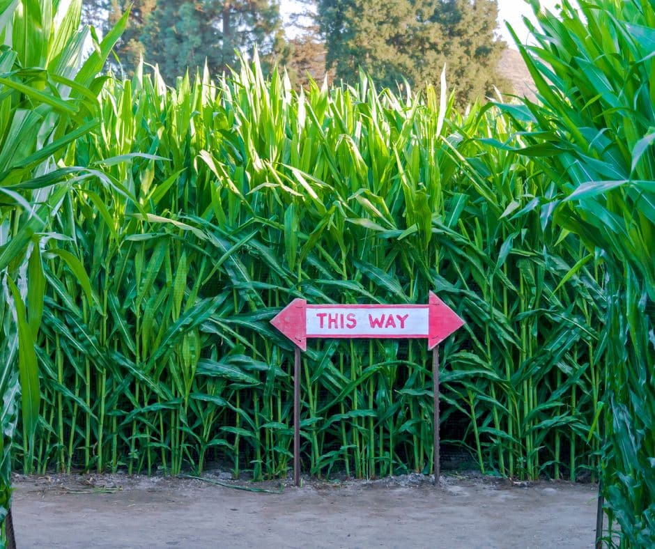 st augustine fl maze